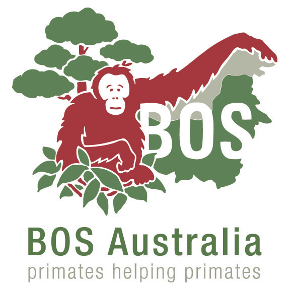 Search Results Web Result with Site Links Borneo Orangutan Survival Australia